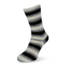 Rellana Flotte Socke Degrade garen met prachtige weldadige kleuren.