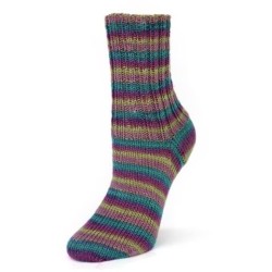 Rellana Flotte Socke Merino Forever sokkenwol met schitterende kleuren