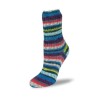 Rellana Flotte Socke Nabucco sokkenwol met schitterende kleuren.