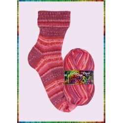 Opal Cats and Dogs met heldere en unieke kleuren van Opal sokkenwol.