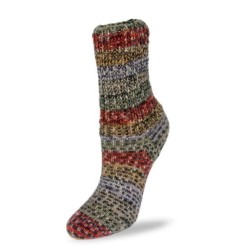 Rellana Flotte Socke Figaro kleurig sokkengaren dat niet verveelt.