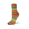 Rellana Flotte Socke Jubilee garen met frisse en unieke kleuren