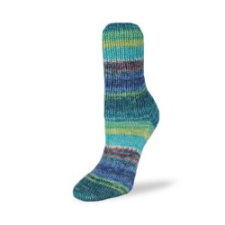 Rellana Flotte Socke Jubilee garen met frisse en unieke kleuren