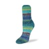 Rellana Flotte Socke Jubilee garen met frisse en unieke kleuren