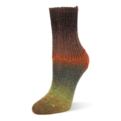 Rellana Flotte Socke Kolibri sokkenwol met lang verlopende kleuren.