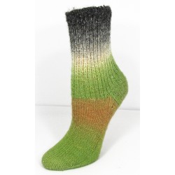 Rellana Flotte Socke Kolibri sokkenwol met lang verlopende kleuren.