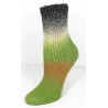 Rellana Flotte Socke Kolibri sokkenwol met lang verlopende kleuren.