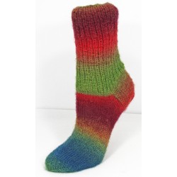 Rellana Flotte Socke Kolibri sokkenwol met lang verlopende kleuren.