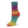 Rellana Flotte Socke Kolibri sokkenwol met lang verlopende kleuren.