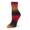 Rellana Flotte Socke Kolibri sokkenwol met lang verlopende kleuren.
