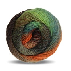 Rellana Flotte Socke Kolibri sokkenwol met lang verlopende kleuren.