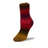 Rellana Flotte Socke Kolibri sokkenwol met lang verlopende kleuren.