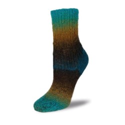 Rellana Flotte Socke Kolibri sokkenwol met lang verlopende kleuren.