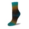 Rellana Flotte Socke Kolibri sokkenwol met lang verlopende kleuren.