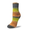 Rellana Patagonia Happy Dots sokkengaren met prachtige frisse kleuren.