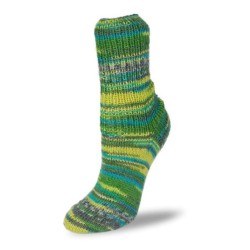 Rellana Flotte Socke Rigoletto garen met heldere en frisse kleuren.