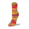 Rellana Flotte Socke Rigoletto garen met heldere en frisse kleuren.