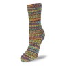 Rellana Flotte Socke Sunshine sokkenwol met frisse en zonnige kleuren.