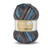 Rellana Flotte Socke Wellness garen met prachtige weldadige kleuren.