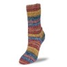 Rellana Flotte Socke Wellness garen met prachtige weldadige kleuren.