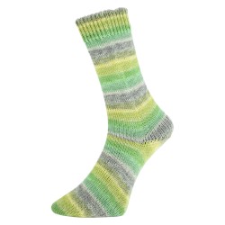 Pro Lana Bernstein gezellig gekleurde gestreepte sokken voor jou.