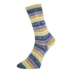 Pro Lana Bernstein gezellig gekleurde gestreepte sokken voor jou.