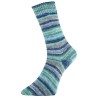 Fashion G is een van de garens uit de golden socks serie van Pro Lana