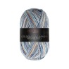 Fashion G is een van de garens uit de golden socks serie van Pro Lana