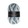 Fashion G is een van de garens uit de golden socks serie van Pro Lana