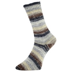 Fashion G is een van de garens uit de golden socks serie van Pro Lana