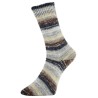 Fashion G is een van de garens uit de golden socks serie van Pro Lana