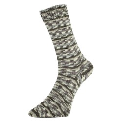 Fashion H is een van de garens uit de golden socks serie van Pro Lana