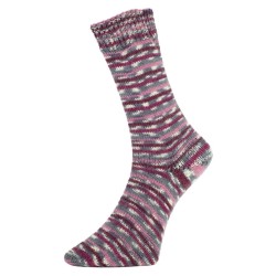 Fashion H is een van de garens uit de golden socks serie van Pro Lana