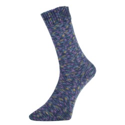 Fashion H is een van de garens uit de golden socks serie van Pro Lana