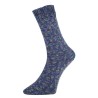 Fashion H is een van de garens uit de golden socks serie van Pro Lana