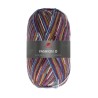Fashion O is een van de garens uit de golden socks serie van Pro Lana