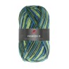 Fashion O is een van de garens uit de golden socks serie van Pro Lana