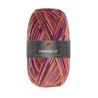 Fashion O is een van de garens uit de golden socks serie van Pro Lana