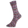 Fashion O is een van de garens uit de golden socks serie van Pro Lana