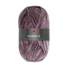 Fashion O is een van de garens uit de golden socks serie van Pro Lana