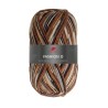 Fashion O is een van de garens uit de golden socks serie van Pro Lana