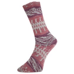 Kwalitatief hoogwaardige sokkengaren uit de collectie van Pro Lana