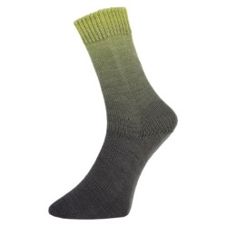 Piz Buin is een prachtig sokkengaren uit de Pro Lana golden socks serie