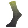 Piz Buin is een prachtig sokkengaren uit de Pro Lana golden socks serie