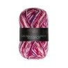 Seelbach is een prachtig sokkengaren uit de Pro Lana golden socks serie