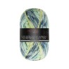 Surprise Glitzer een glinsterend sokkengaren van Pro Lana Golden Socks