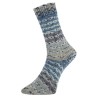 Surprise Glitzer een glinsterend sokkengaren van Pro Lana Golden Socks
