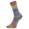 Surprise Glitzer een glinsterend sokkengaren van Pro Lana Golden Socks