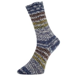 Surprise Glitzer een glinsterend sokkengaren van Pro Lana Golden Socks