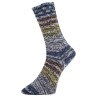 Surprise Glitzer een glinsterend sokkengaren van Pro Lana Golden Socks